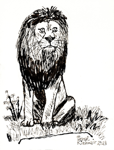 Cartoon: Löwe (medium) by Pascal Kirchmair tagged lion,leao,leon,leo,leone,löwe,dessin,zeichnung,portrait,retrato,ritratto,porträt,art,arte,kunst,predator,raubkatze,predateur,felin,felino,fauve,predador,predatore,big,cat,cats,katzen,gatos,gatti,chats,illustration,ink,drawing,pascal,kirchmair,cartoon,caricature,karikatur,ilustracion,dibujo,desenho,disegno,ilustracao,illustrazione,illustratie,de,presse,tekening,teckning,cartum,vineta,comica,vignetta,caricatura,tusche,tuschezeichnung,encre,chine,tinta,china,inchiostro,nanquim,artwork,lion,leao,leon,leo,leone,löwe,dessin,zeichnung,portrait,retrato,ritratto,porträt,art,arte,kunst,predator,raubkatze,predateur,felin,felino,fauve,predador,predatore,big,cat,cats,katzen,gatos,gatti,chats,illustration,ink,drawing,pascal,kirchmair,cartoon,caricature,karikatur,ilustracion,dibujo,desenho,disegno,ilustracao,illustrazione,illustratie,de,presse,tekening,teckning,cartum,vineta,comica,vignetta,caricatura,tusche,tuschezeichnung,encre,chine,tinta,china,inchiostro,nanquim,artwork