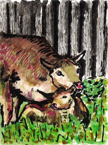 Cartoon: Mutterkuh und Kalb (medium) by Pascal Kirchmair tagged painting,pintura,malerei,peinture,vaca,mucca,vacca,kuh,kühe,kalb,calf,veau,vache,vaches,vitello,becerro,el,ternero,bezerro,novilho,vitelo,vitela,terneiro,cow,cows,weide,aquarell,watercolor,watercolour,acuarela,aquarelle,illustration,dessin,tuschezeichnung,pascal,kirchmair,portrait,retrato,ritratto,ink,drawing,dibujo,desenho,porträt,art,arte,kunst,ilustracao,ilustracion,artwork,zeichnung,cartoon,caricature,karikatur,disegno,illustrazione,illustratie,de,presse,tekening,teckning,cartum,vineta,comica,vignetta,caricatura,tusche,encre,chine,tinta,china,inchiostro,nanquim,painting,pintura,malerei,peinture,vaca,mucca,vacca,kuh,kühe,kalb,calf,veau,vache,vaches,vitello,becerro,el,ternero,bezerro,novilho,vitelo,vitela,terneiro,cow,cows,weide,aquarell,watercolor,watercolour,acuarela,aquarelle,illustration,dessin,tuschezeichnung,pascal,kirchmair,portrait,retrato,ritratto,ink,drawing,dibujo,desenho,porträt,art,arte,kunst,ilustracao,ilustracion,artwork,zeichnung,cartoon,caricature,karikatur,disegno,illustrazione,illustratie,de,presse,tekening,teckning,cartum,vineta,comica,vignetta,caricatura,tusche,encre,chine,tinta,china,inchiostro,nanquim