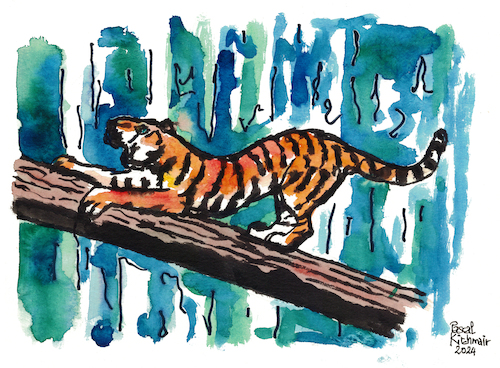 Cartoon: Tiger (medium) by Pascal Kirchmair tagged predator,raubkatze,predateur,felin,felino,fauve,predador,predatore,tiger,tigre,big,cat,cats,katzen,gatos,gatti,chats,illustration,ink,drawing,zeichnung,pascal,kirchmair,cartoon,caricature,karikatur,ilustracion,dibujo,desenho,ilustracao,illustrazione,illustratie,dessin,de,presse,tekening,teckning,cartum,vineta,comica,vignetta,caricatura,tusche,tuschezeichnung,portrait,retrato,porträt,ritratto,art,arte,kunst,artwork,encre,chine,tinta,china,inchiostro,nanquim,watercolor,watercolour,aquarell,aquarelle,acuarela,aquarela,aguarela,predator,raubkatze,predateur,felin,felino,fauve,predador,predatore,tiger,tigre,big,cat,cats,katzen,gatos,gatti,chats,illustration,ink,drawing,zeichnung,pascal,kirchmair,cartoon,caricature,karikatur,ilustracion,dibujo,desenho,ilustracao,illustrazione,illustratie,dessin,de,presse,tekening,teckning,cartum,vineta,comica,vignetta,caricatura,tusche,tuschezeichnung,portrait,retrato,porträt,ritratto,art,arte,kunst,artwork,encre,chine,tinta,china,inchiostro,nanquim,watercolor,watercolour,aquarell,aquarelle,acuarela,aquarela,aguarela