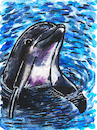 Cartoon: Delfin (small) by Pascal Kirchmair tagged aquarell,tumbler,flipper,delfim,golfinho,grand,dauphin,delfino,delphin,delfin,dolphin,großer,tümmler,painting,pintura,malerei,peinture,watercolor,watercolour,acuarela,aquarelle,illustration,dessin,tuschezeichnung,pascal,kirchmair,portrait,retrato,ritratto,ink,drawing,dibujo,desenho,porträt,art,arte,kunst,ilustracao,ilustracion,artwork,zeichnung,cartoon,caricature,karikatur,disegno,illustrazione,illustratie,de,presse,tekening,teckning,cartum,vineta,comica,vignetta,caricatura,tusche,encre,chine,tinta,china,inchiostro,nanquim