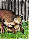 Mutterkuh und Kalb