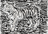 Cartoon: Tiger (small) by Pascal Kirchmair tagged predator,raubkatze,predateur,felin,felino,fauve,predador,predatore,tiger,tigre,big,cat,cats,katzen,gatos,gatti,chats,illustration,ink,drawing,zeichnung,pascal,kirchmair,cartoon,caricature,karikatur,ilustracion,dibujo,desenho,ilustracao,illustrazione,illustratie,dessin,de,presse,tekening,teckning,cartum,vineta,comica,vignetta,caricatura,tusche,tuschezeichnung,portrait,retrato,porträt,ritratto,art,arte,kunst,painting,black,and,white,schawrz,weiß,peinture,dipinto,pintura,pittura,malerei,bild,image,expressive,expressionism,cuadro,quadro