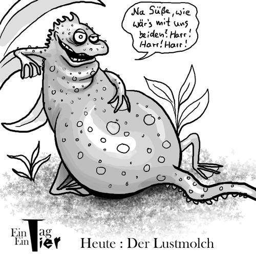Cartoon: Der Lustmolch (medium) by Mistviech tagged tiere,natur,lustmolch,molch,aufreisser,anmachen,aufreissen,lust