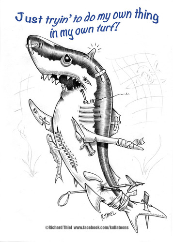 Cartoon: It is their turf (medium) by kullatoons tagged sharks,conservation,misunderstood,endangered