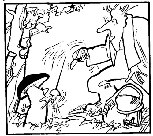 Cartoon: DUEL (medium) by Kestutis tagged incident,forest,wald,pilze,duel,mushrooms