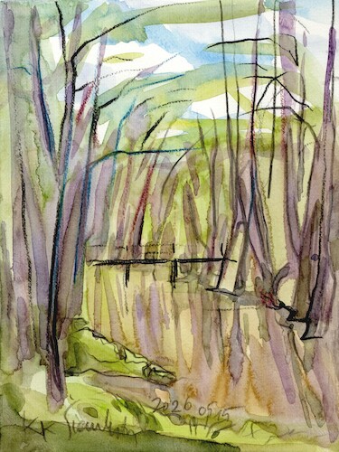 Cartoon: Forest stream plein air (medium) by Kestutis tagged watercolor,forest,pleinair,art,kunst,kestutis,lithuania