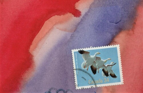 Cartoon: Bird is a mysterious work of art (medium) by Kestutis tagged bird,mysterious,work,art,dada,postcard,kestutis,lithuania,philately