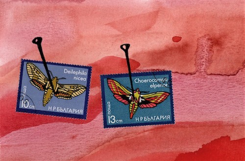 Cartoon: Butterfly collection (medium) by Kestutis tagged butterfly,collection,mail,art,postcard,kestutis,lithuania,postage,stamp