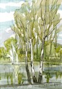 Cartoon: Birches by the lake (small) by Kestutis tagged watercolor,lake,kestutis,lithuania,art,kunst