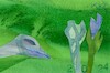 Cartoon: Diptych. Birds and trees 1 (small) by Kestutis tagged diptych,bird,tree,dada,postcard,kestutis,lithuania