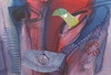 Cartoon: Falcon eye but lips locked (small) by Kestutis tagged dada postcard kestutis lithuania falcon eye lips