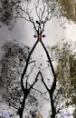 Cartoon: Surrealism photography (small) by Kestutis tagged surrealism,photography,observagraphics,kestutis,lithuania