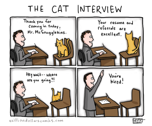 Cartoon: The Cat Interview (medium) by a zillion dollars comics tagged cats,animals,employment,jobs