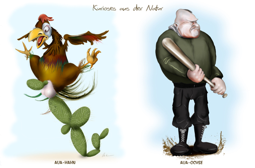Cartoon: Kuriöses aus der Natur (medium) by KryCha tagged auerhahn,auerochse