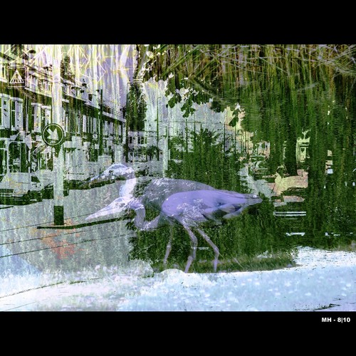 Cartoon: MH - Herons in the Street! (medium) by MoArt Rotterdam tagged fotomix,photoblend,justblending,heron,reiger,street,straat,cars,auto