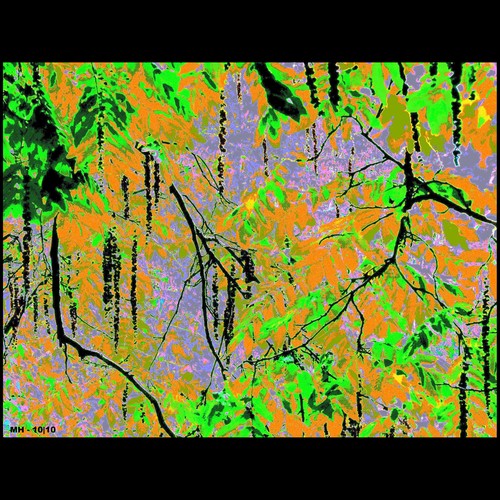 Cartoon: MH - The Colorful Jungle (medium) by MoArt Rotterdam tagged rotterdam,oerwoud,jungle,colorful,kleurrijk