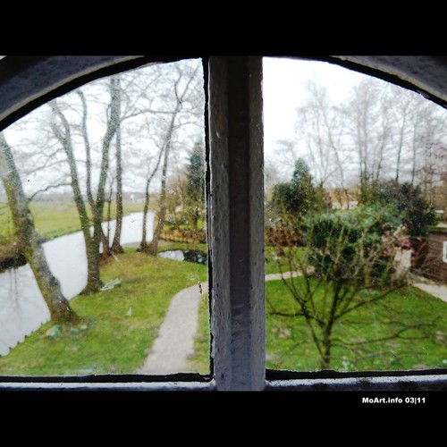 Cartoon: MH - The Window to FairyLand (medium) by MoArt Rotterdam tagged boom,tree,fantasie,realornot,fantasy,fairyland,fairy,fee,raam,window,moartcards,moart,rotterdam