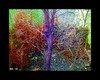 Cartoon: MH - Color Ecstasy (small) by MoArt Rotterdam tagged color,ecstasy,fantasticcolors