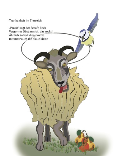 Cartoon: Trunkenheit im Tierreich (medium) by gege tagged tier,suff,betrunken,trunkenheit,schafbock,schaf,meise,vogel,vögel,blaumeise