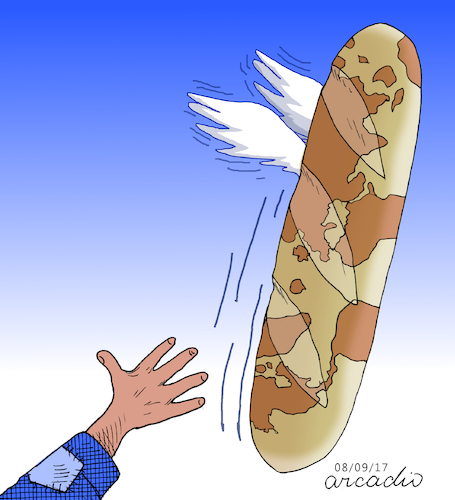 Cartoon: The food crisis. (medium) by Cartoonarcadio tagged food,crisis,countries,third,world,economy