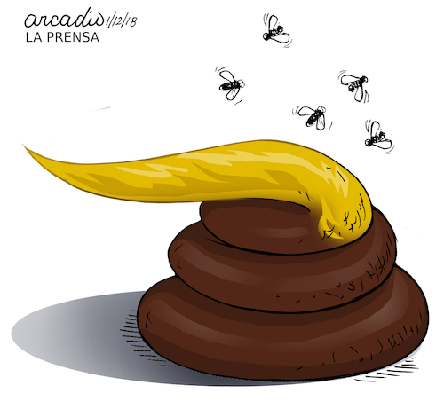 Cartoon: Trump concept of some countries2 (medium) by Cartoonarcadio tagged trump,world,countries,relationships