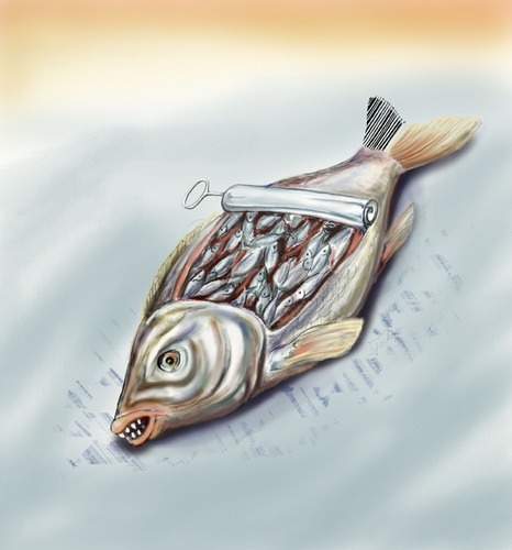 Cartoon: Big Fish (medium) by gartoon tagged fish,big