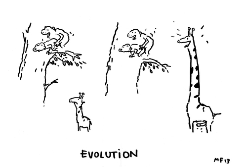 Cartoon: Evolution! (medium) by MarcoFinkenstein tagged evolution,giraffen,baum,affen