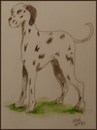 Cartoon: Killer (small) by jjjerk tagged killer,dalmation,dog,spots,bergins,quest,book