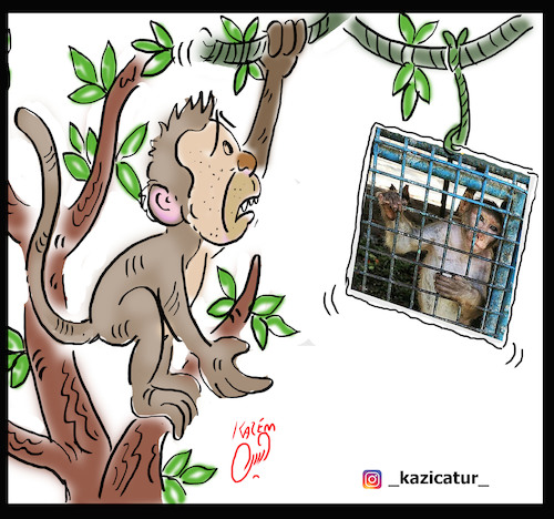 Cartoon: jungle zoo (medium) by Hossein Kazem tagged jungle,zoo