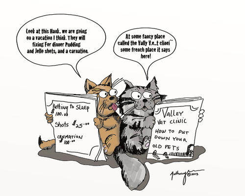 Cartoon: cats (medium) by tonyp tagged arp,arptoons,wacom,cartoons,cat