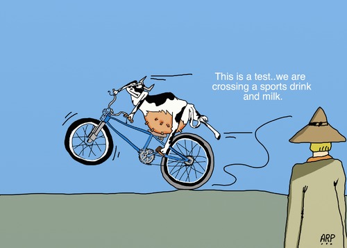 Cartoon: SportDrink (medium) by tonyp tagged arp,arptoons,cow,bike,sports,drink