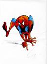 Cartoon: Goofy Spidey 2 (small) by Murangelo tagged comics,super,hero,spiderman