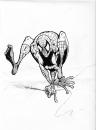 Cartoon: goofy spidey (small) by Murangelo tagged comics,spiderman