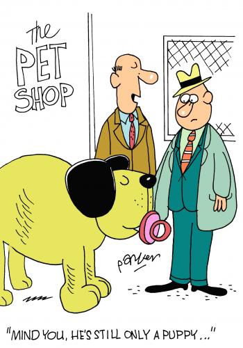 Cartoon: Puppy love. (medium) by daveparker tagged pet,shop,big,dog,comforter