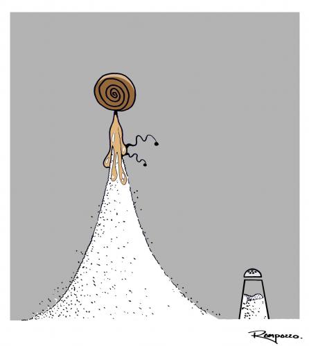 snail on the top