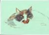 Cartoon: My Cat Chi-Chi (small) by zed tagged cat,animals,nature,pet,illustration