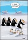 Cartoon: Käsekästchen (small) by andre sedlaczek tagged pinguine,kalt,kinder,streich