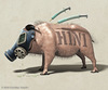 Cartoon: Satirisches Grippeschwein (small) by ATELIER TOEPFER tagged h1n1 schweinegrippe impfung pandemie animals influenza swine flu