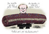 Cartoon: Teppich (small) by Stuttmann tagged niebel,dirk,teppich,fdp