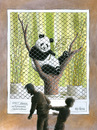 Cartoon: Limited copy (small) by ozbek tagged panda