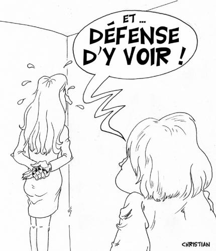 Cartoon: Elections au P.S. (medium) by CHRISTIAN tagged aubry,segolene