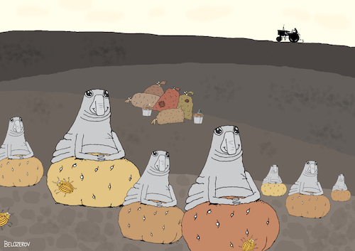 Cartoon: Ernte (medium) by Sergei Belozerov tagged kartoffel,knolle,ernte,kartoffelfeld,homunculus,loxodontus,agrarsektor,landwirtschaft,agrikultur,kartoffelkäfer