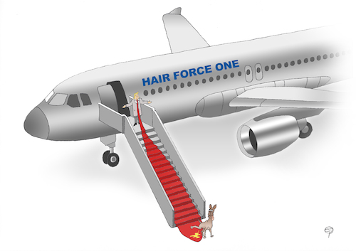 Cartoon: Hair Force One (medium) by Erwin Pischel tagged trump,usa,us,praesident,president,arroganz,ueberheblichkeit,einbildung,ignoranz,eitelkeit,politik,republikaner,demokraten,partei,flugzeug,plain,aircraft,hair,haare,air,force,one,boeing,gangway,flughafen,airport,krawatte,hund,pischel