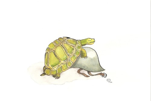 Cartoon: Sexuelle Verwirrung (medium) by Erwin Pischel tagged pischel,schildkröte,helm,kopulation