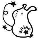 shihohoshino's avatar
