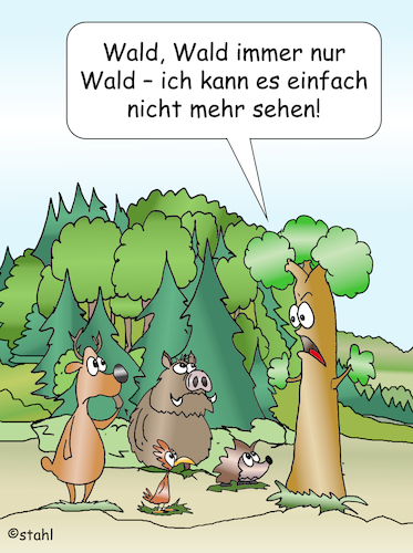 Bäume und Wald