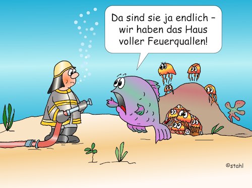 Feuerquallen Feuerquallen