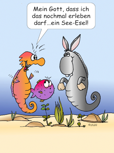 Seeesel und Seepferdchen