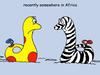 Cartoon: Ginger und Kalaschnikow 21 (small) by wista tagged ginger,kalaschnikow,afrika,zebra,ente