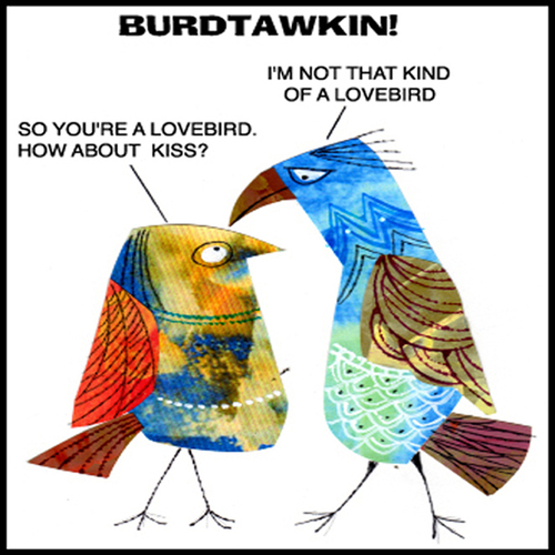 Cartoon: BOIDTAWKIN (medium) by STEVEN DUQUETTE tagged birds,stylized,colorful,cartoon,humorous